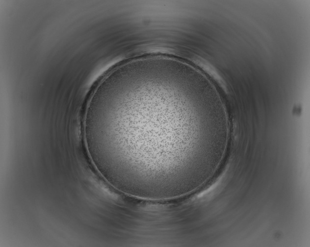 X0000092300782200709281325