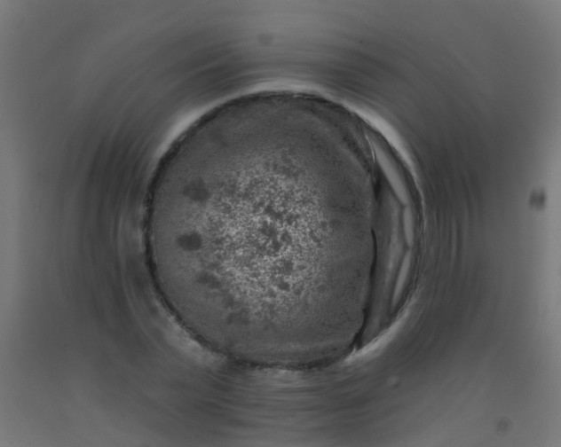 X0000092300783200709281325