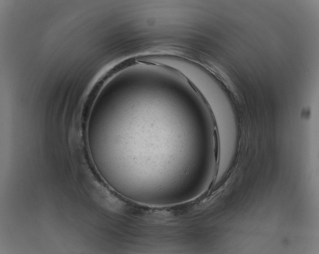 X0000092300784200709281325