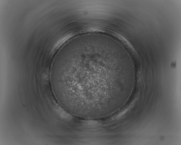 X0000092300785200709281325