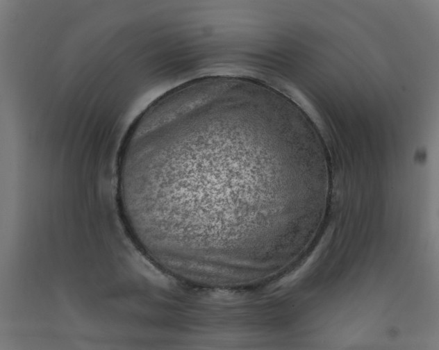 X0000092300787200709281325