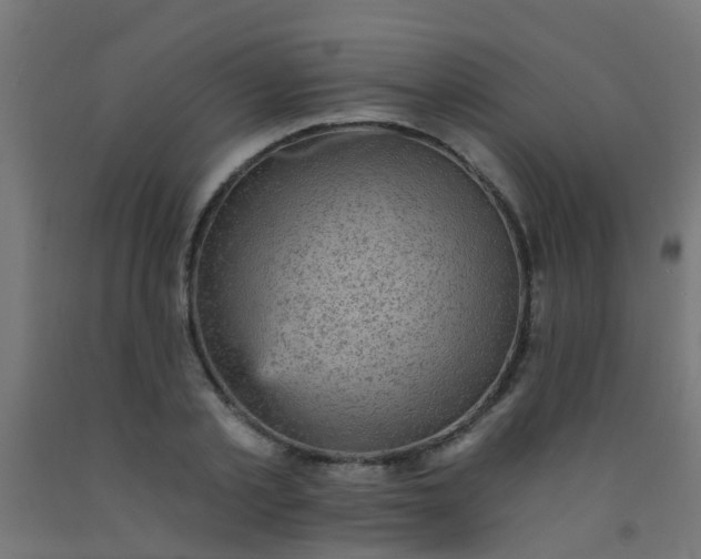 X0000092300789200709281325