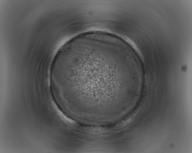 X0000092300791200709281325