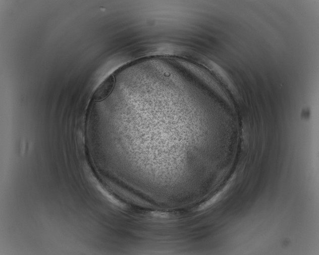 X0000092300794200709281325