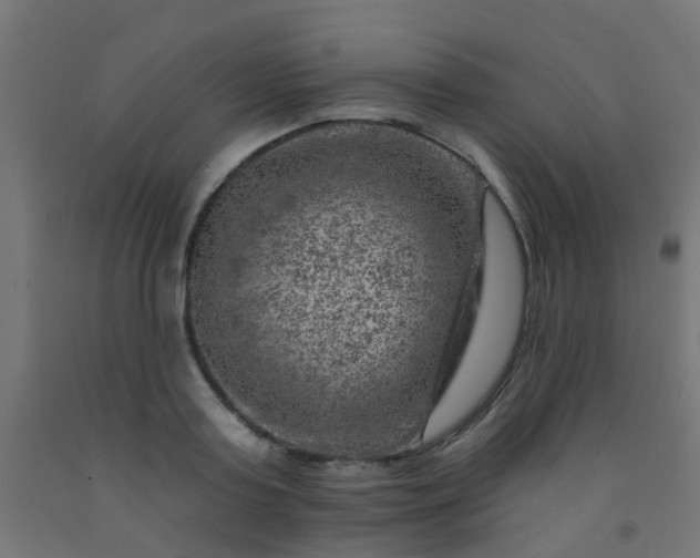 X0000092300795200709281325