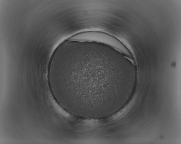 X0000092300797200709281325