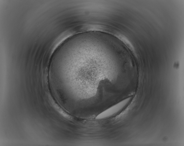 X0000092300798200709281325