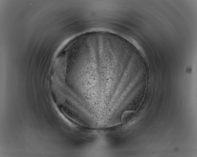 X0000092300799200709281325