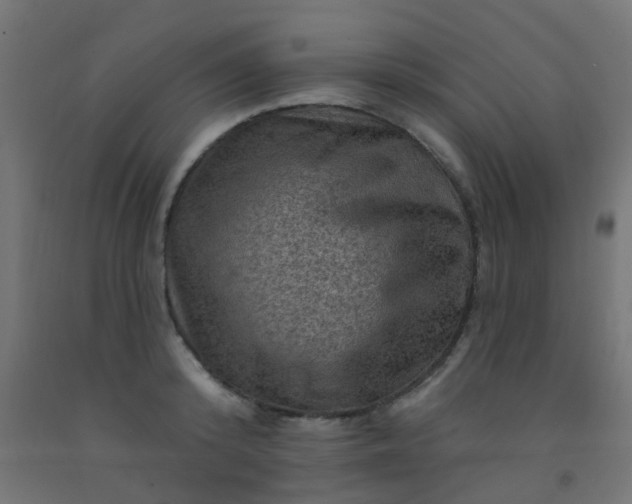 X0000092300800200709281325