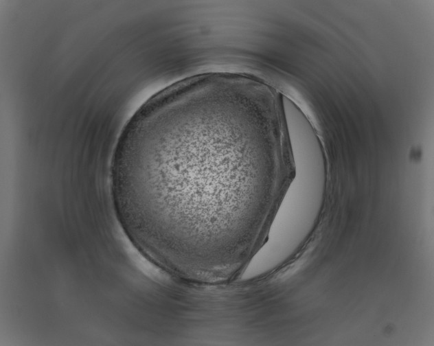 X0000092300803200709281325