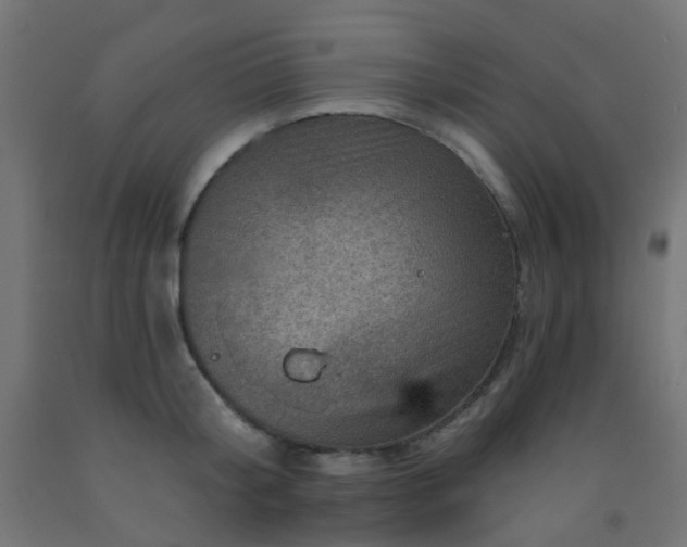 X0000092300804200709281325