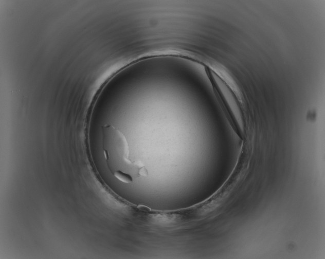 X0000092300805200709281325