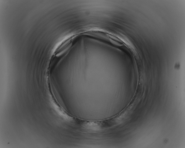 X0000092300806200709281325