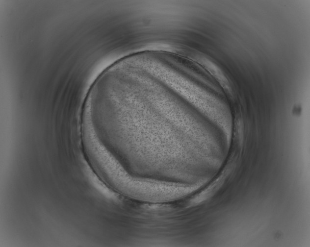 X0000092300808200709281325