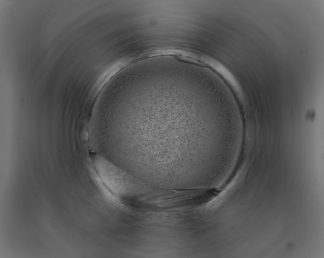 X0000092300809200709281325