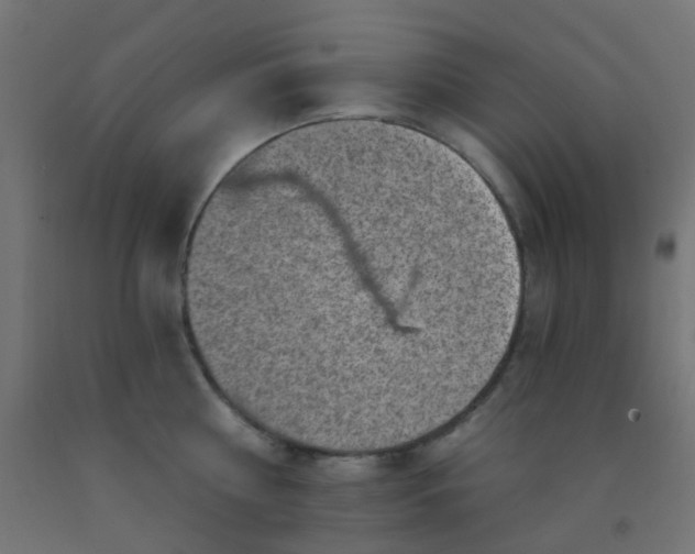 X0000092300810200709281325