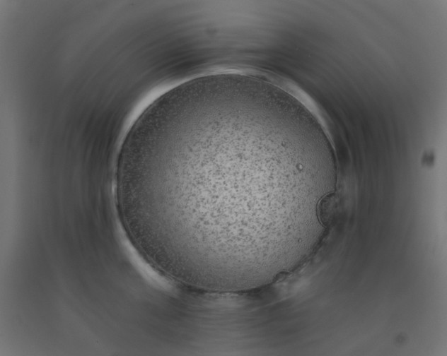 X0000092300811200709281325