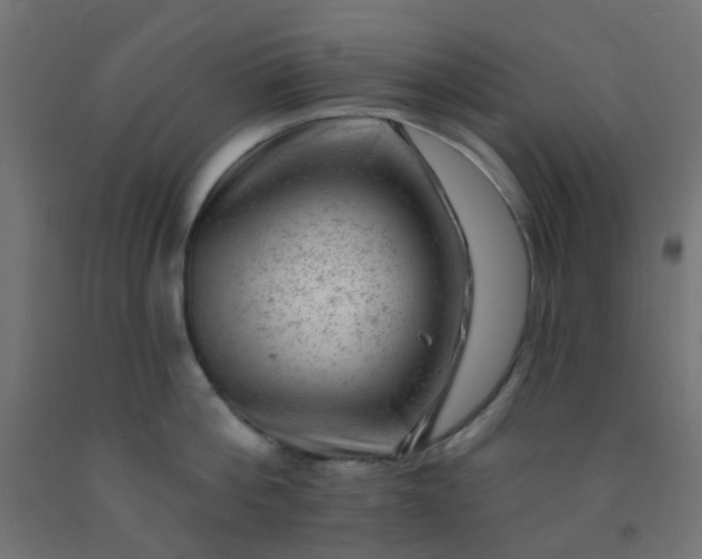 X0000092300812200709281325