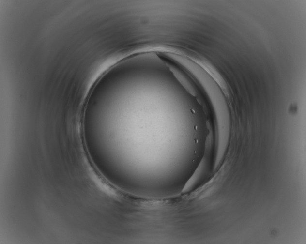 X0000092300813200709281325