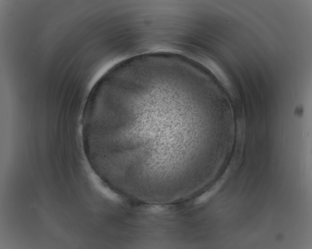 X0000092300814200709281325