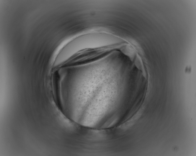 X0000092300816200709281325