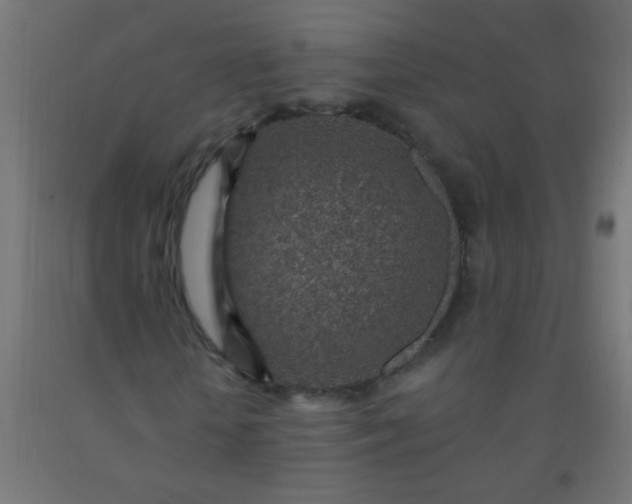 X0000092300818200709281324