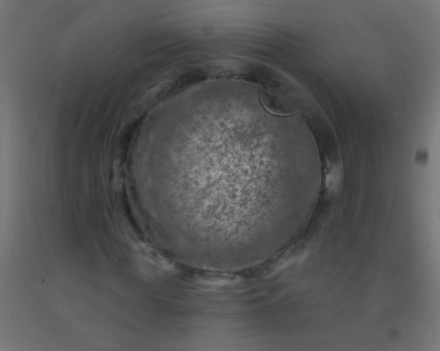 X0000092300819200709281324