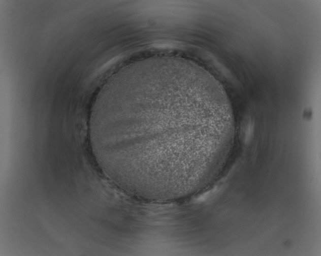 X0000092300821200709281324