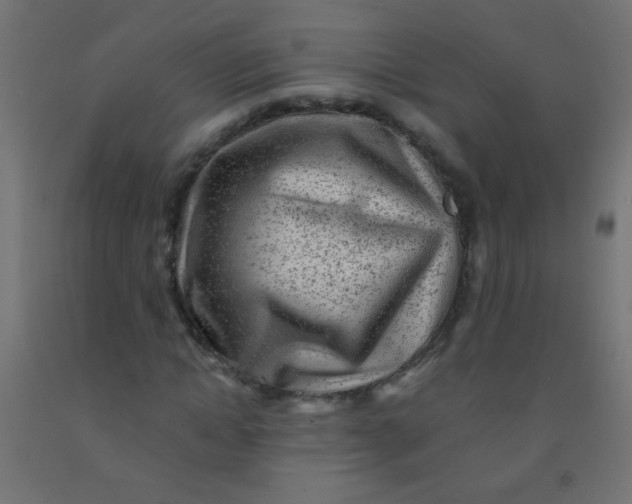 X0000092300822200709281324