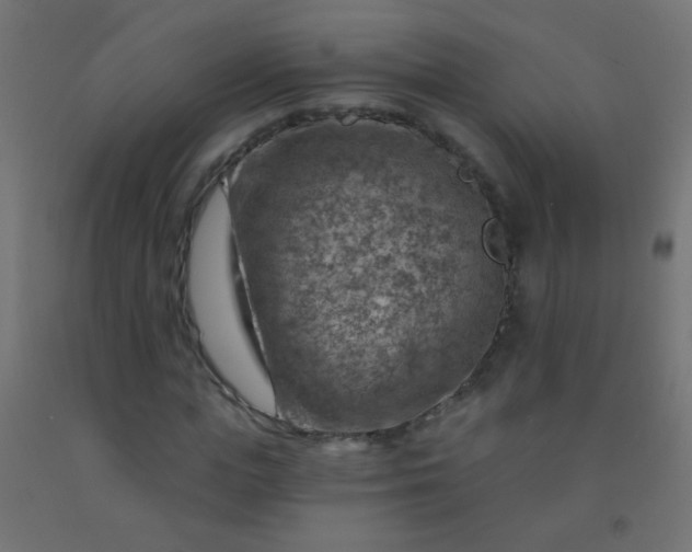 X0000092300823200709281324