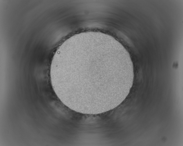 X0000092300824200709281324