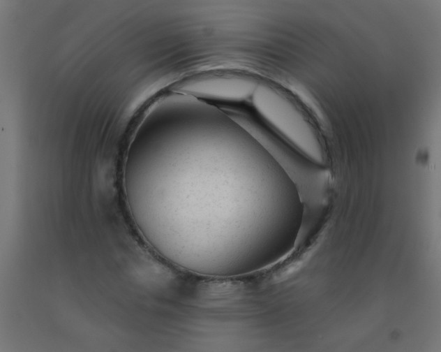 X0000092300826200709281324