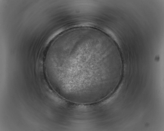 X0000092300827200709281324