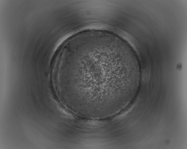 X0000092300829200709281324