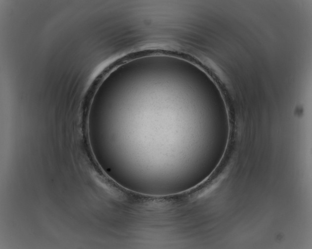 X0000092300830200709281324