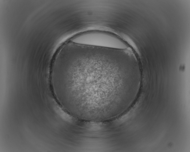 X0000092300831200709281324