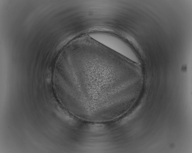 X0000092300833200709281324