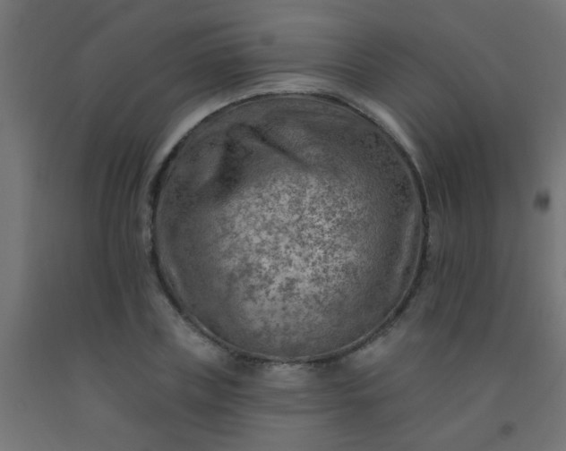 X0000092300835200709281324