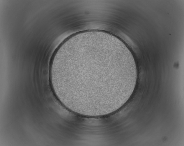 X0000092300836200709281324