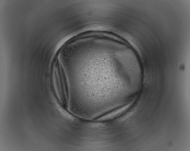 X0000092300837200709281324