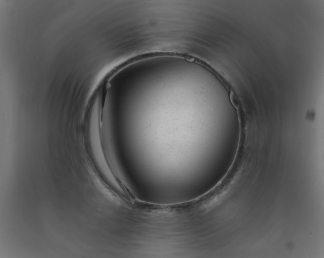 X0000092300838200709281324