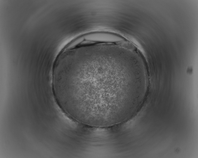 X0000092300839200709281324