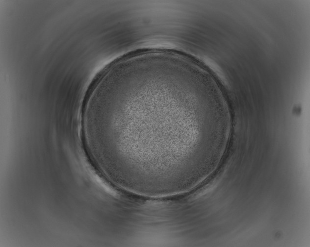 X0000092300840200709281324