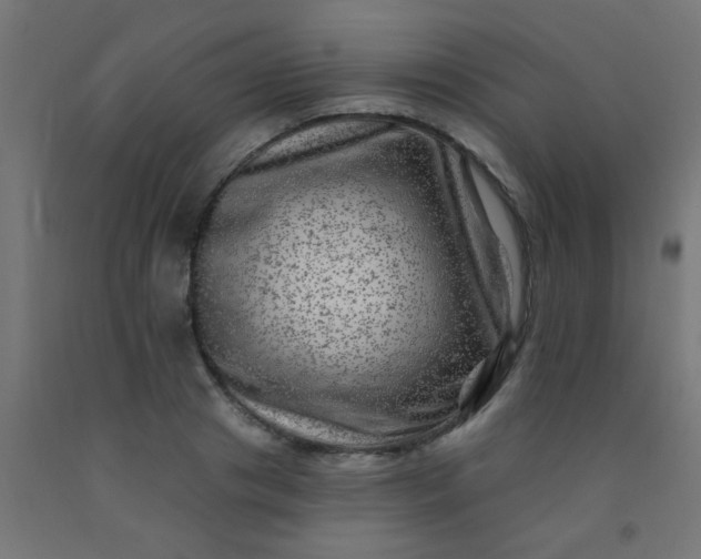 X0000092300841200709281324