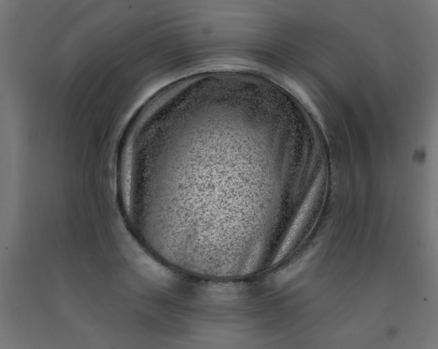 X0000092300843200709281324