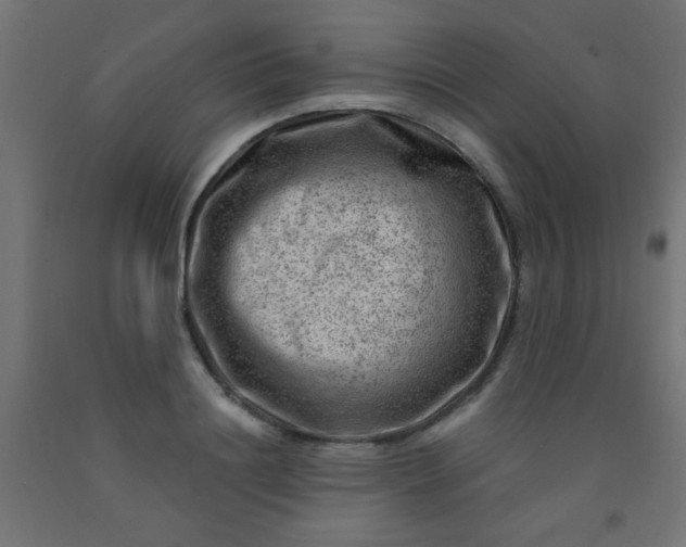 X0000092300844200709281324