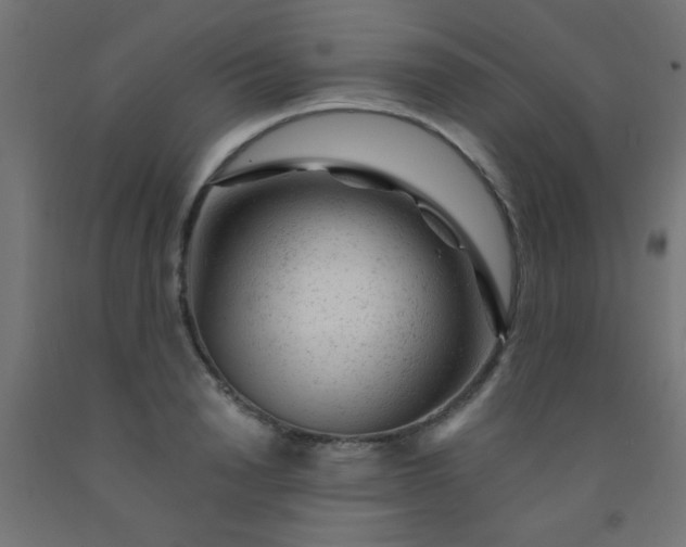 X0000092300846200709281324