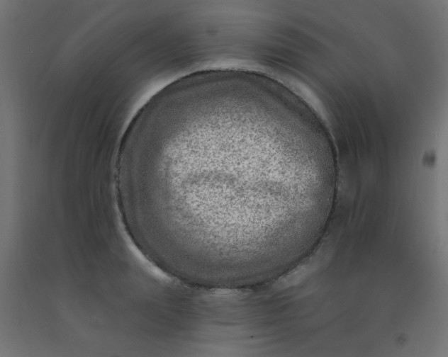 X0000092300847200709281324