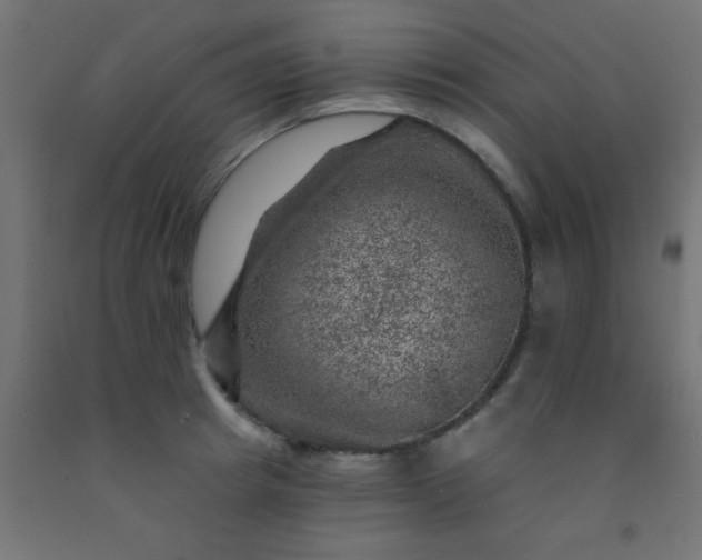 X0000092300849200709281324