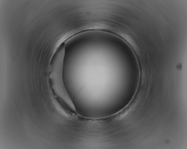 X0000092300850200709281324